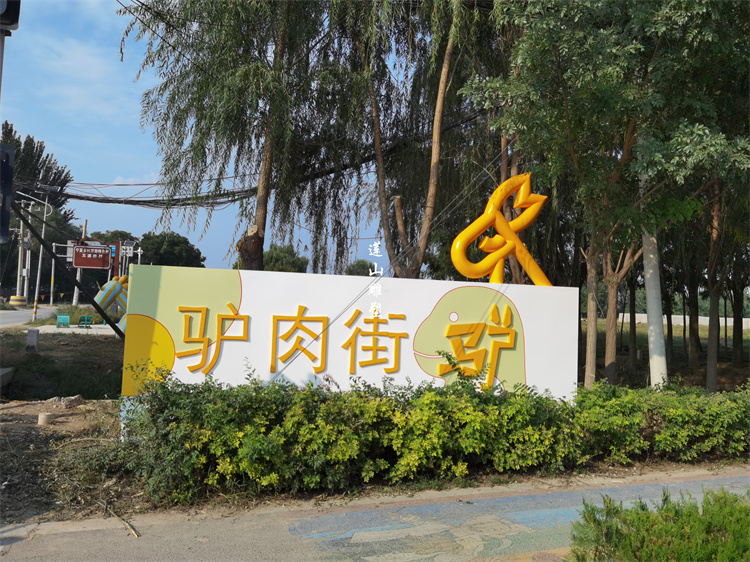 宁夏银川兴庆掌政镇兴庆路景观提升