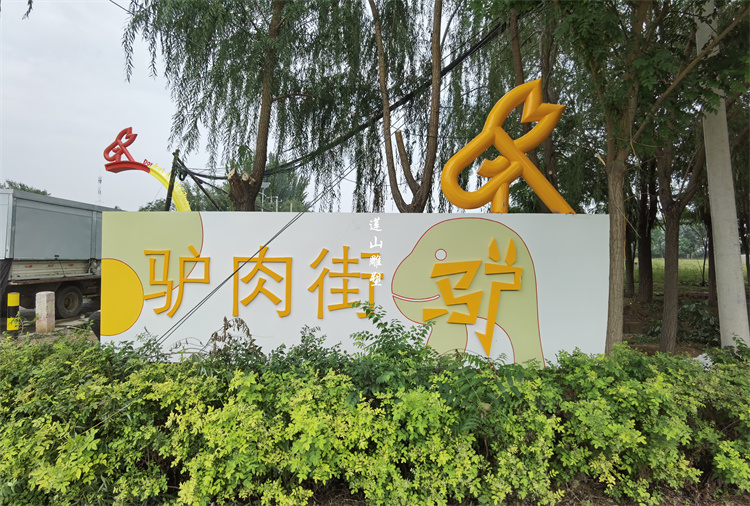 宁夏银川兴庆掌政镇兴庆路景观提升