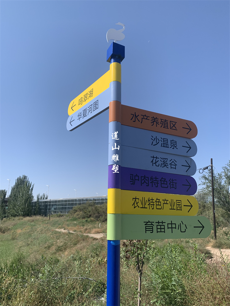 宁夏银川兴庆掌政镇兴庆路景观提升