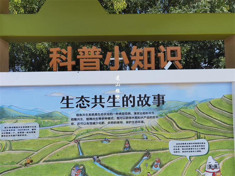 宁夏银川兴庆掌政镇兴庆路景观提升